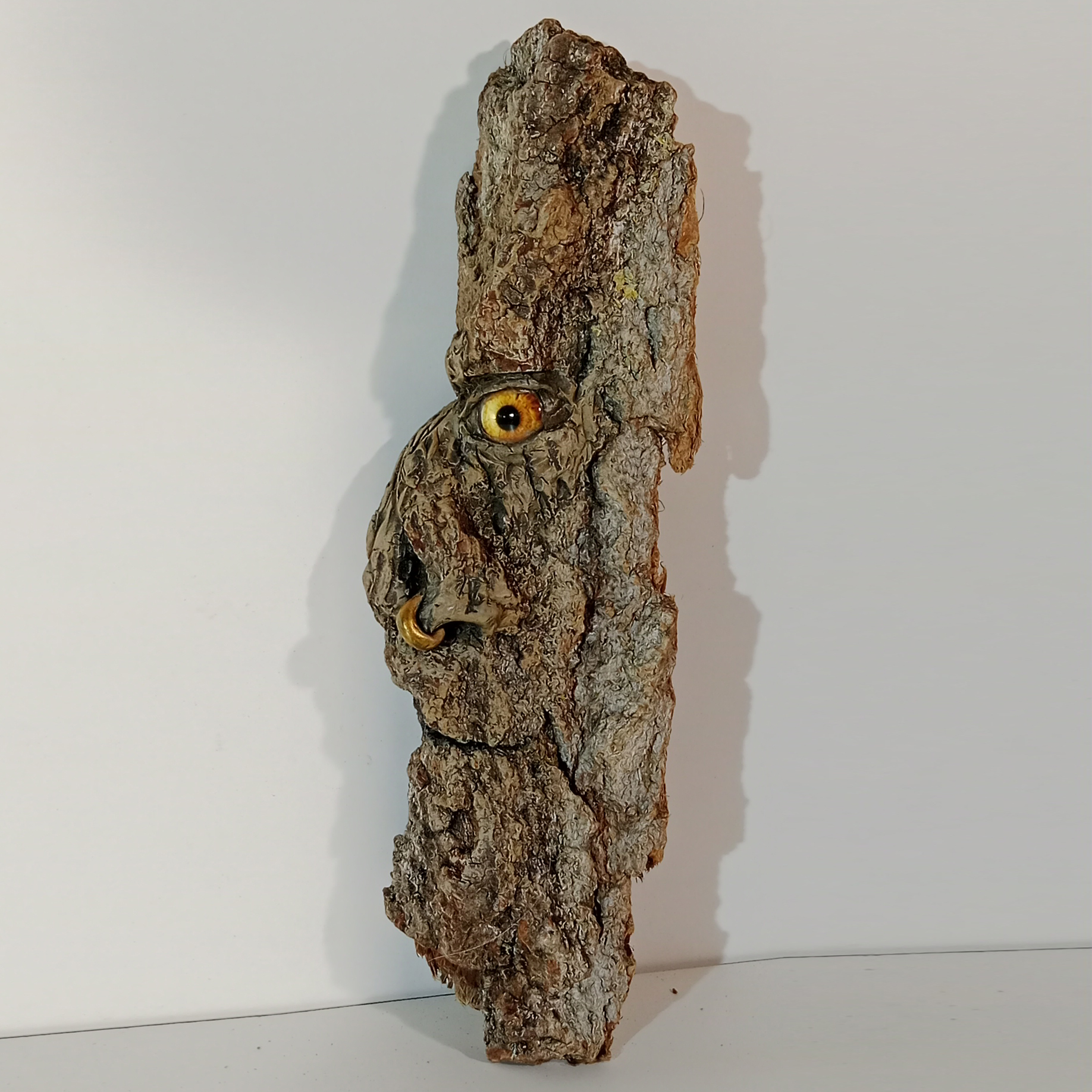 Chopíkaro (19)