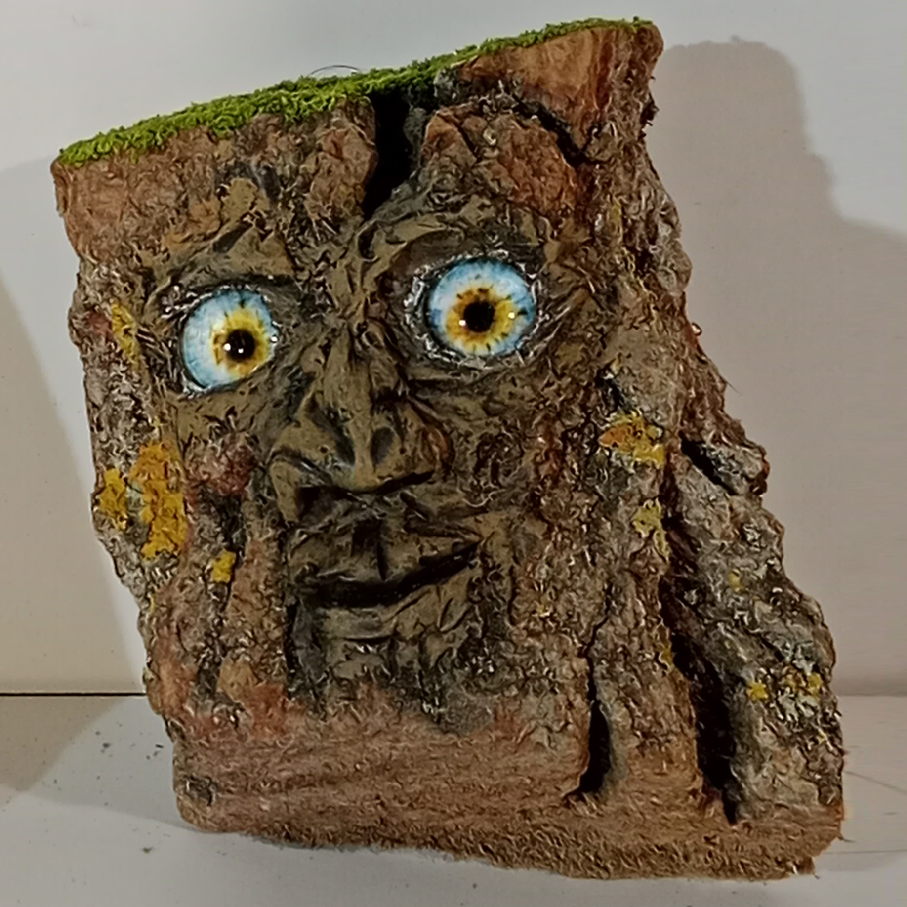 Chopíkaro (21)