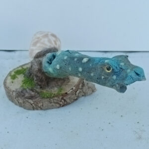 Dragoracol (7)