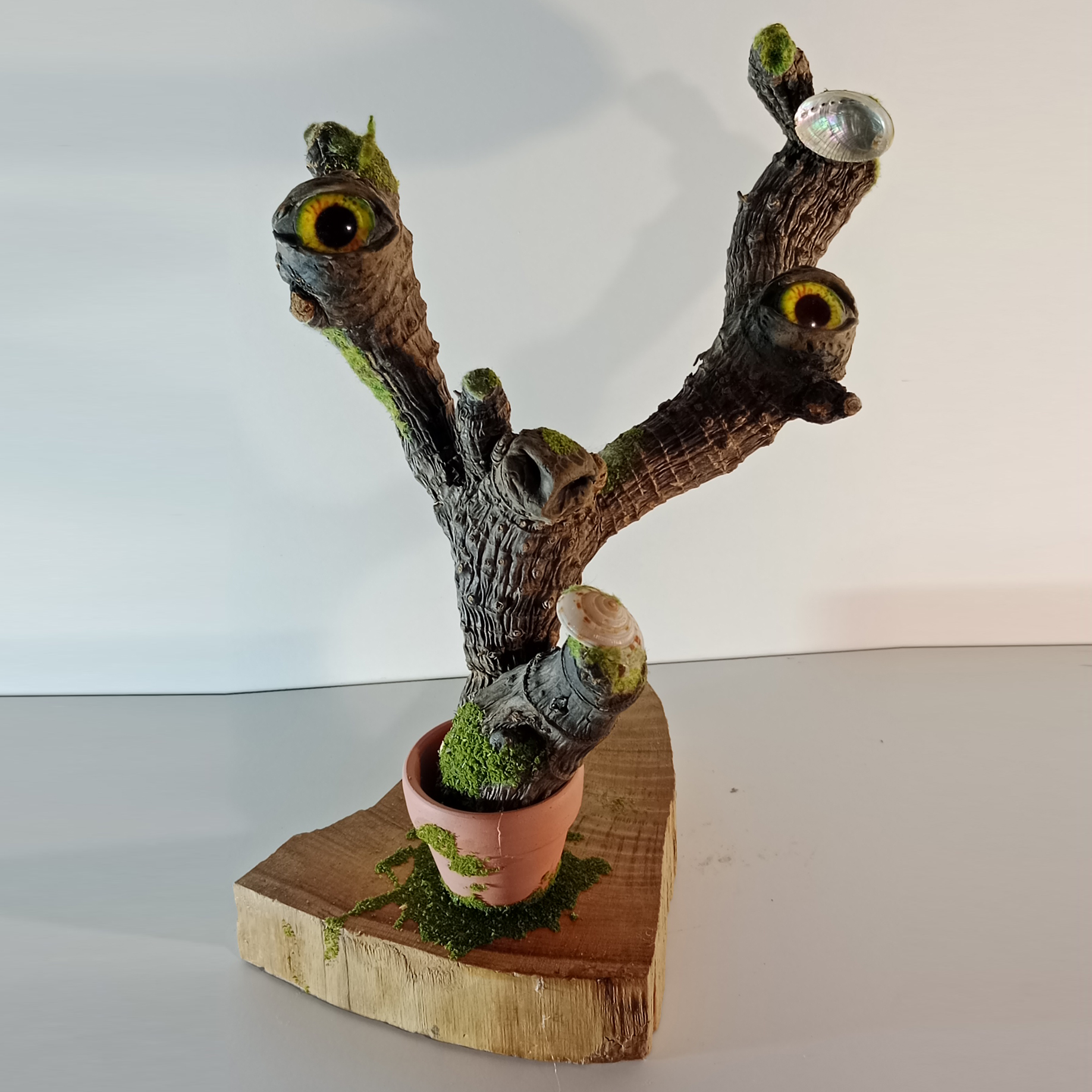 Birlibirlo (14)